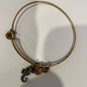 Alex and Ani seahorse bracelet